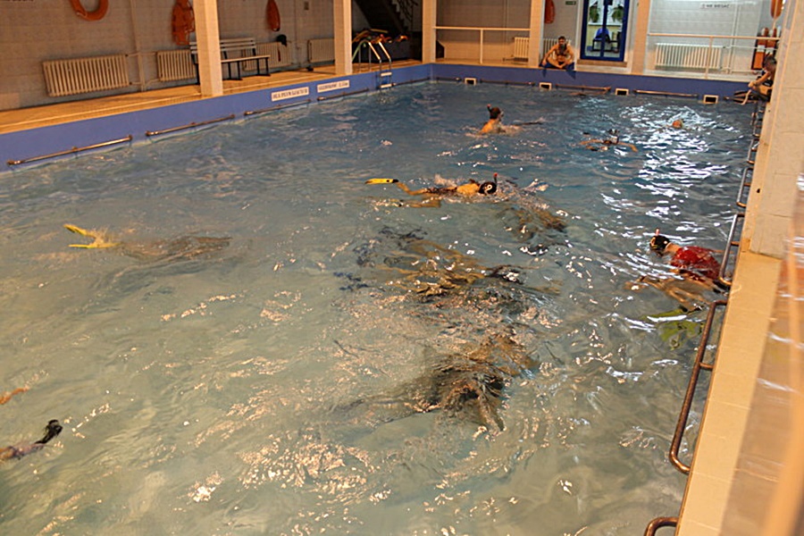 Hokej pod wodą Walenie Siemianowice Śląskie XII 2013